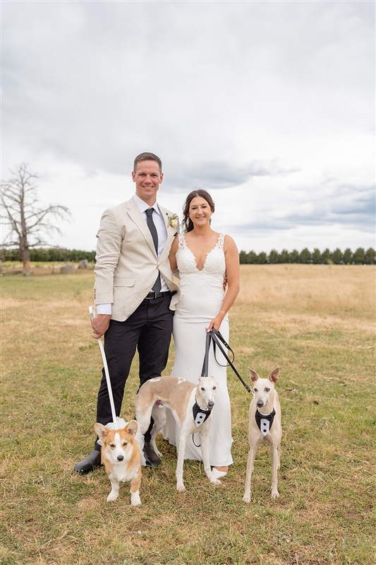 Bride and groom walking across paddock with two dogs on lead
