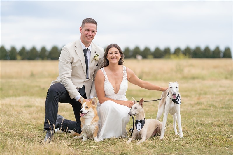 Bride and groom sitting on grass with two dogs in front