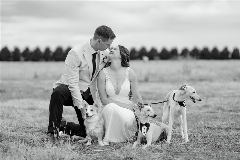 Black and white version of couple with dogs on open field